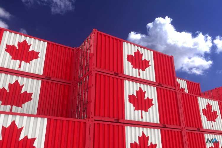 4 Soruda Kanada CANFER Deklarasyonu Sertifikası 2 canfer-deklarasyonu